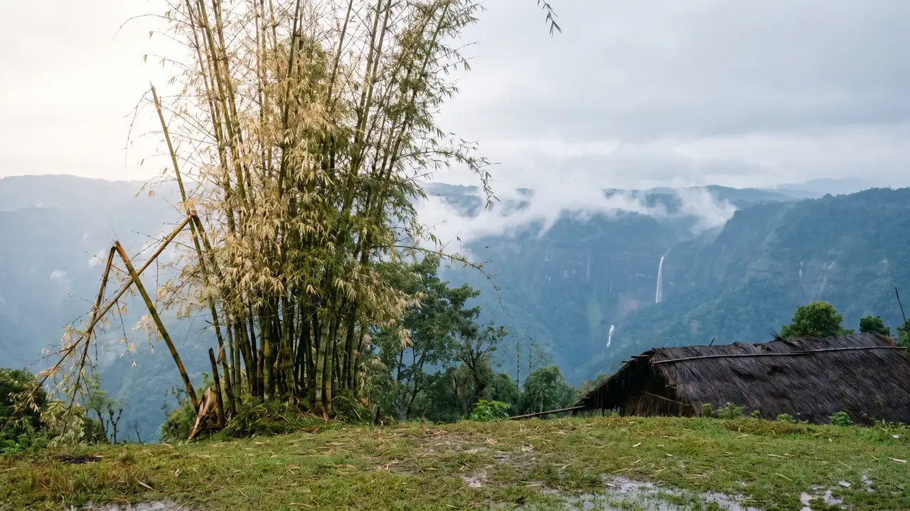 Bamboo above a deep green valley with a thin waterfall and drifting cloud, and the thatched roof of a hill shelter in the foreground.